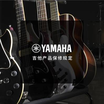 吉他、贝斯和音箱