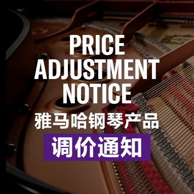 15vip太阳成钢琴产品调价通知